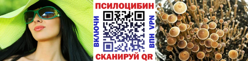 хочу   Белово  Галлюциногенные грибы мухоморы 